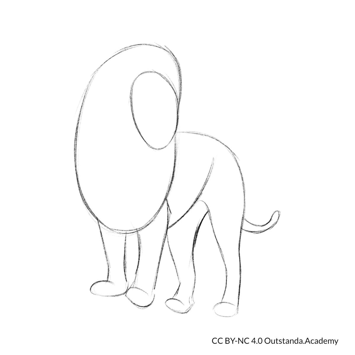 draw a lion step 2