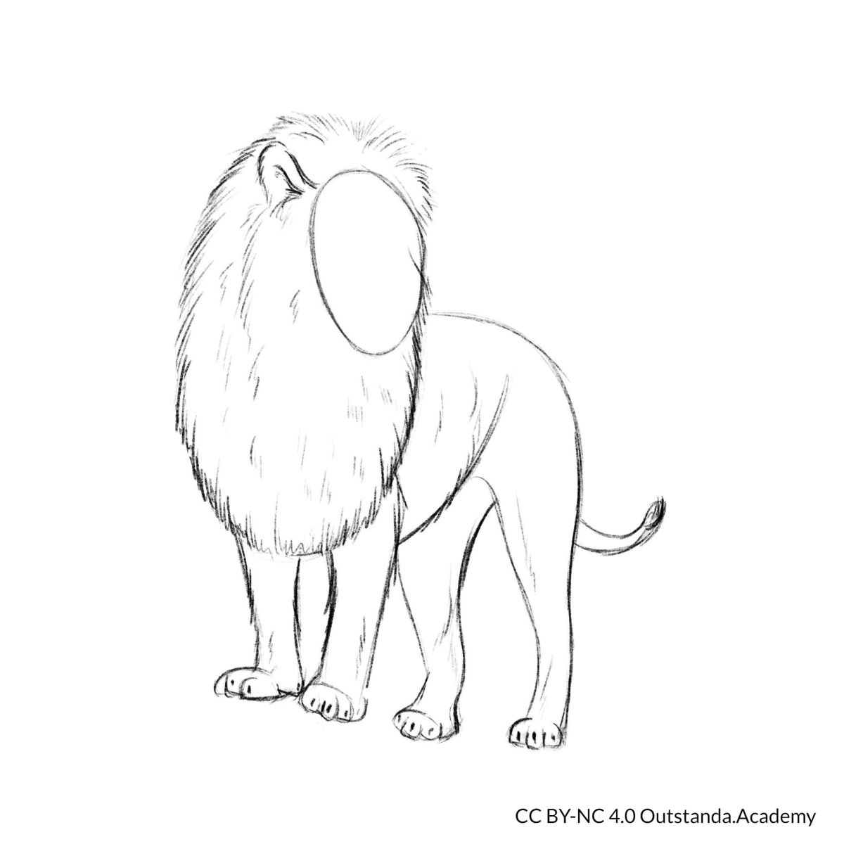 draw a lion step 4