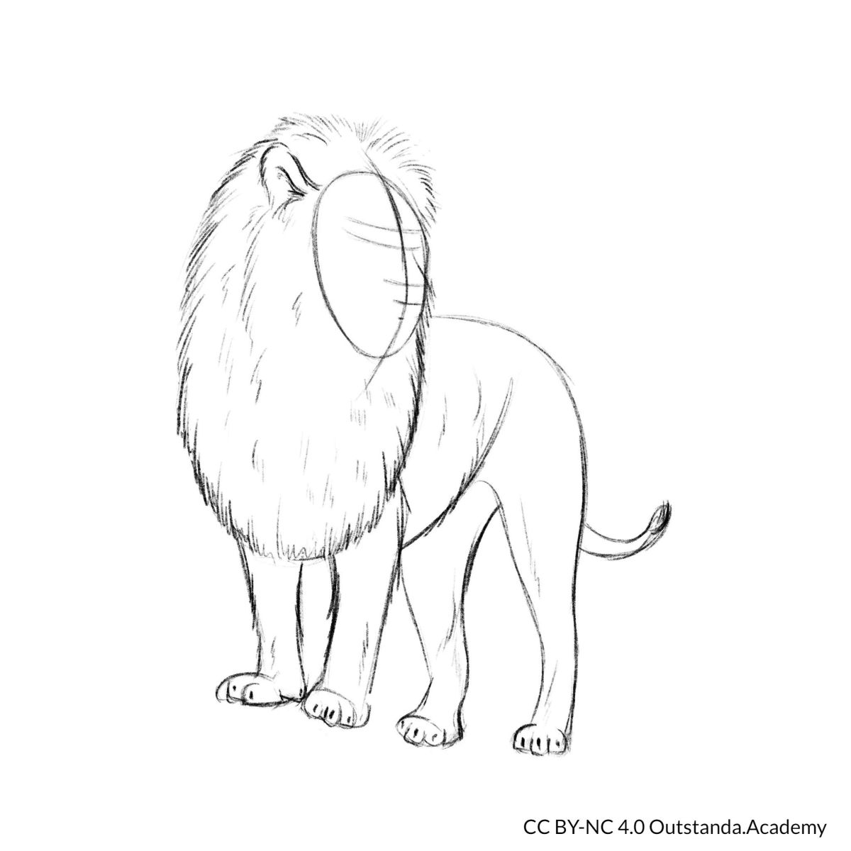 draw a lion step 5