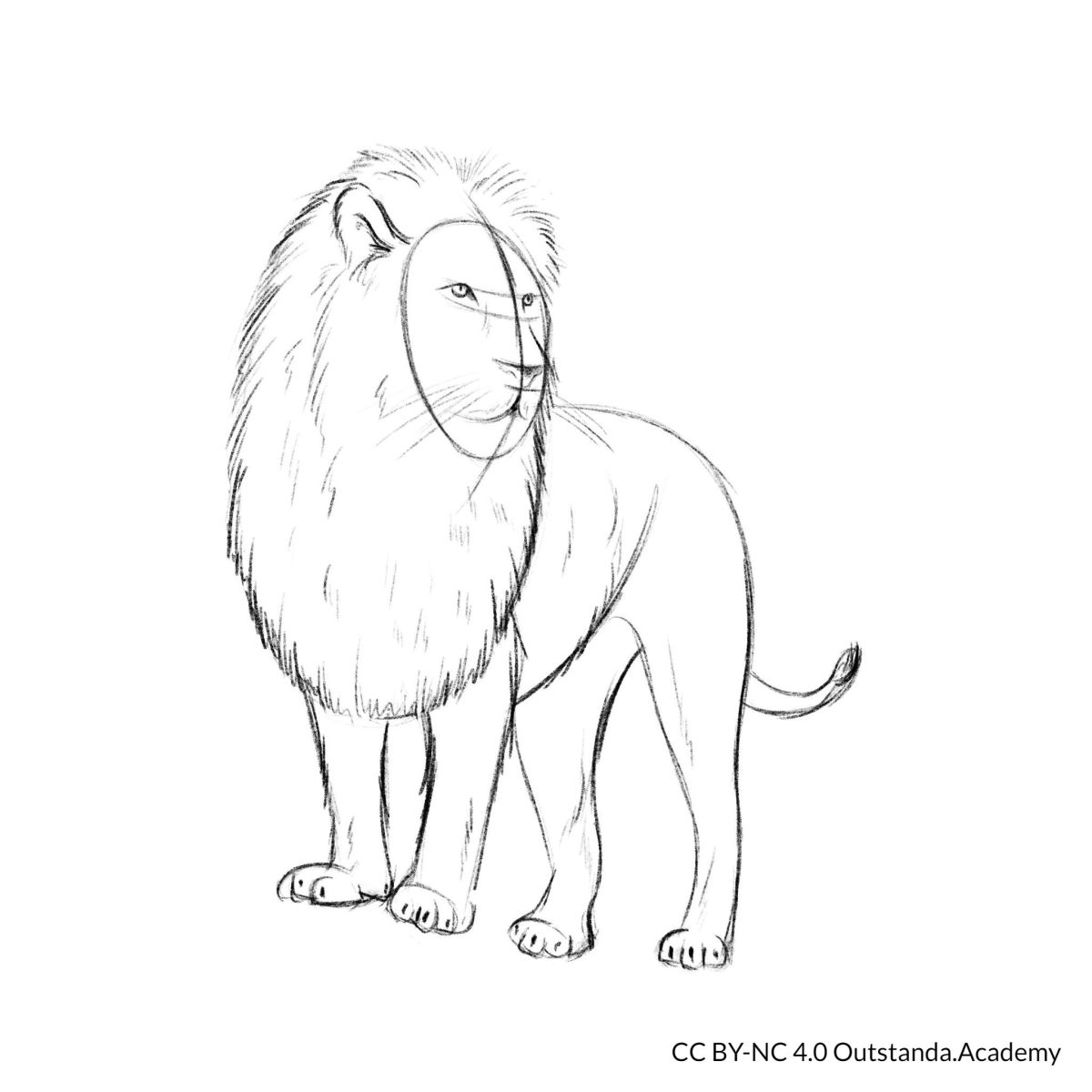 draw a lion step 6